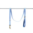 laisse evil eye.jpg